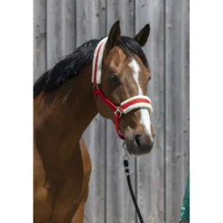 Riding World Halster Synthetic Fur Rood