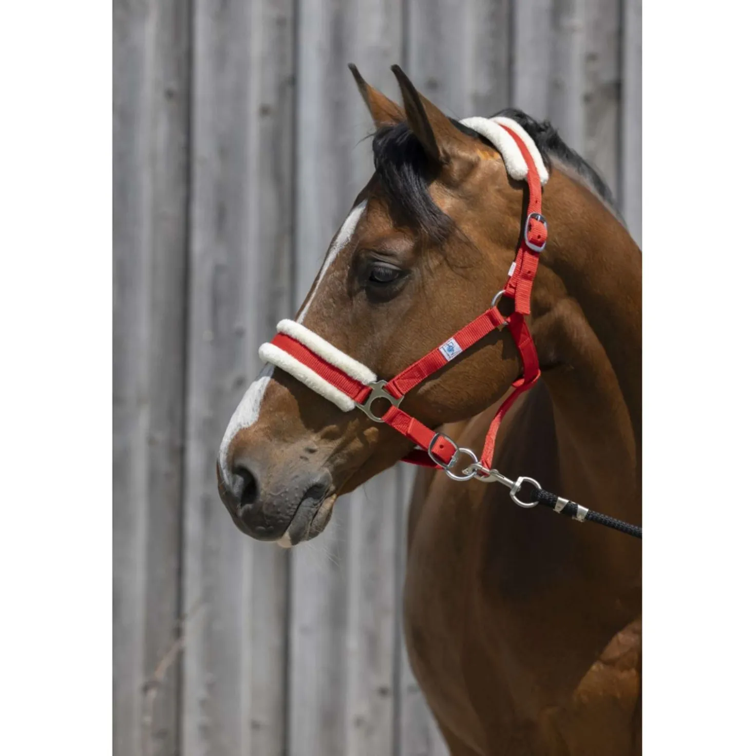 Riding World Halster Synthetic Fur Rood