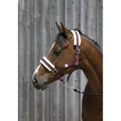 Riding World Halster Synthetic Fur Burgundy