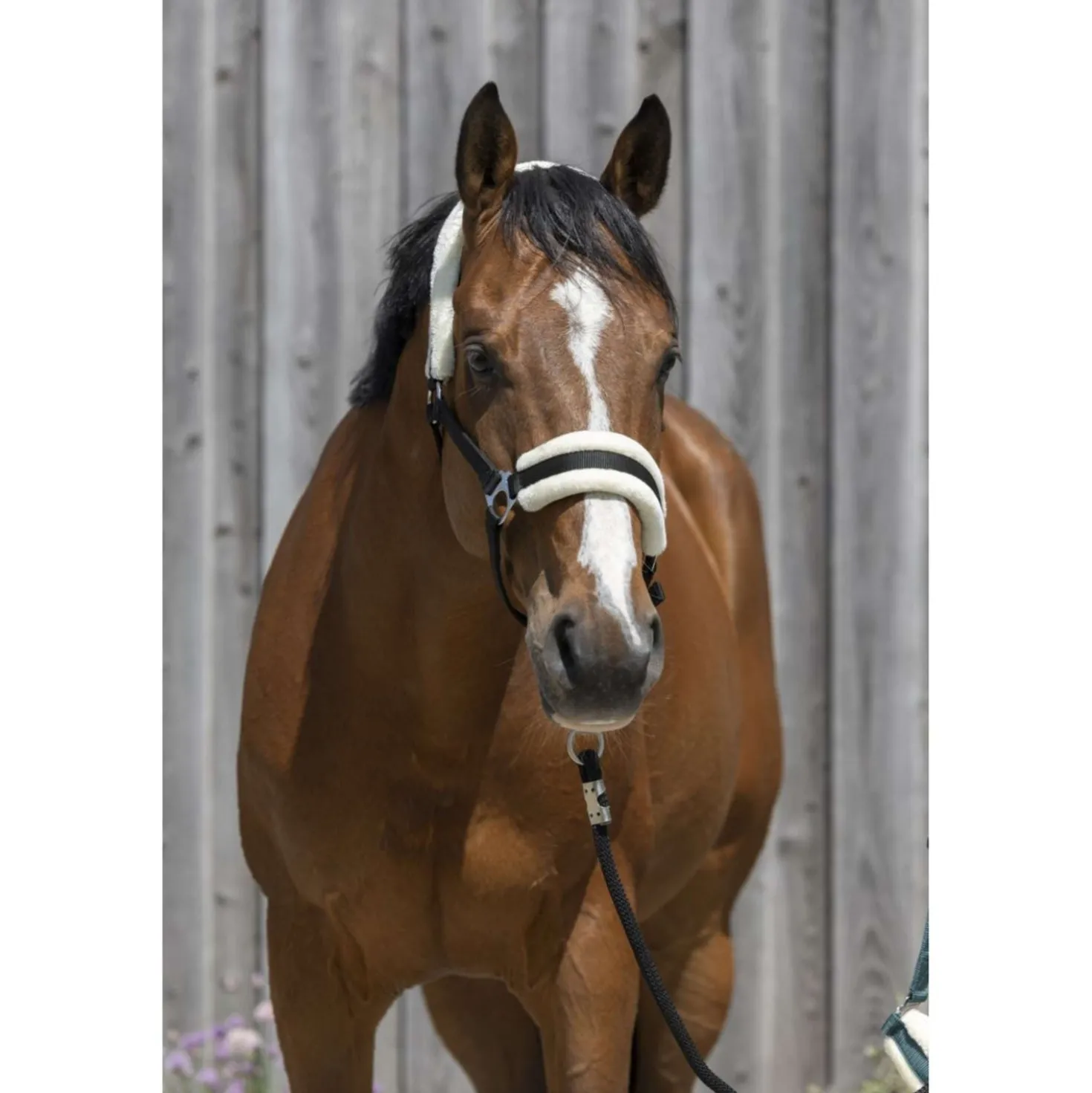 Riding World Halster Synthetic Fur Zwart