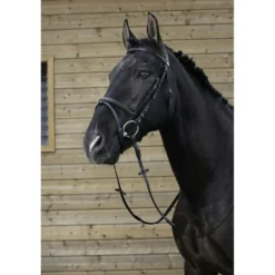 Riding World Hoofdstel met Gecombineerde Neusriem Zwart