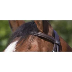 Riding World Hoofdstel met Gecombineerde Neusriem Havana