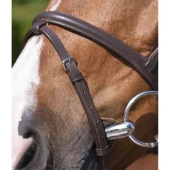 Riding World Hoofdstel met Gecombineerde Neusriem Havana