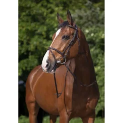 Riding World Hoofdstel met Gecombineerde Neusriem Havana