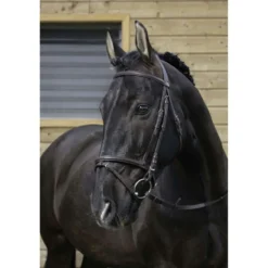 Riding World Hoofdstel met Gecombineerde Neusriem Havana