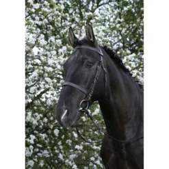 Riding World Hoofdstel met Hoge Neusriem Havana