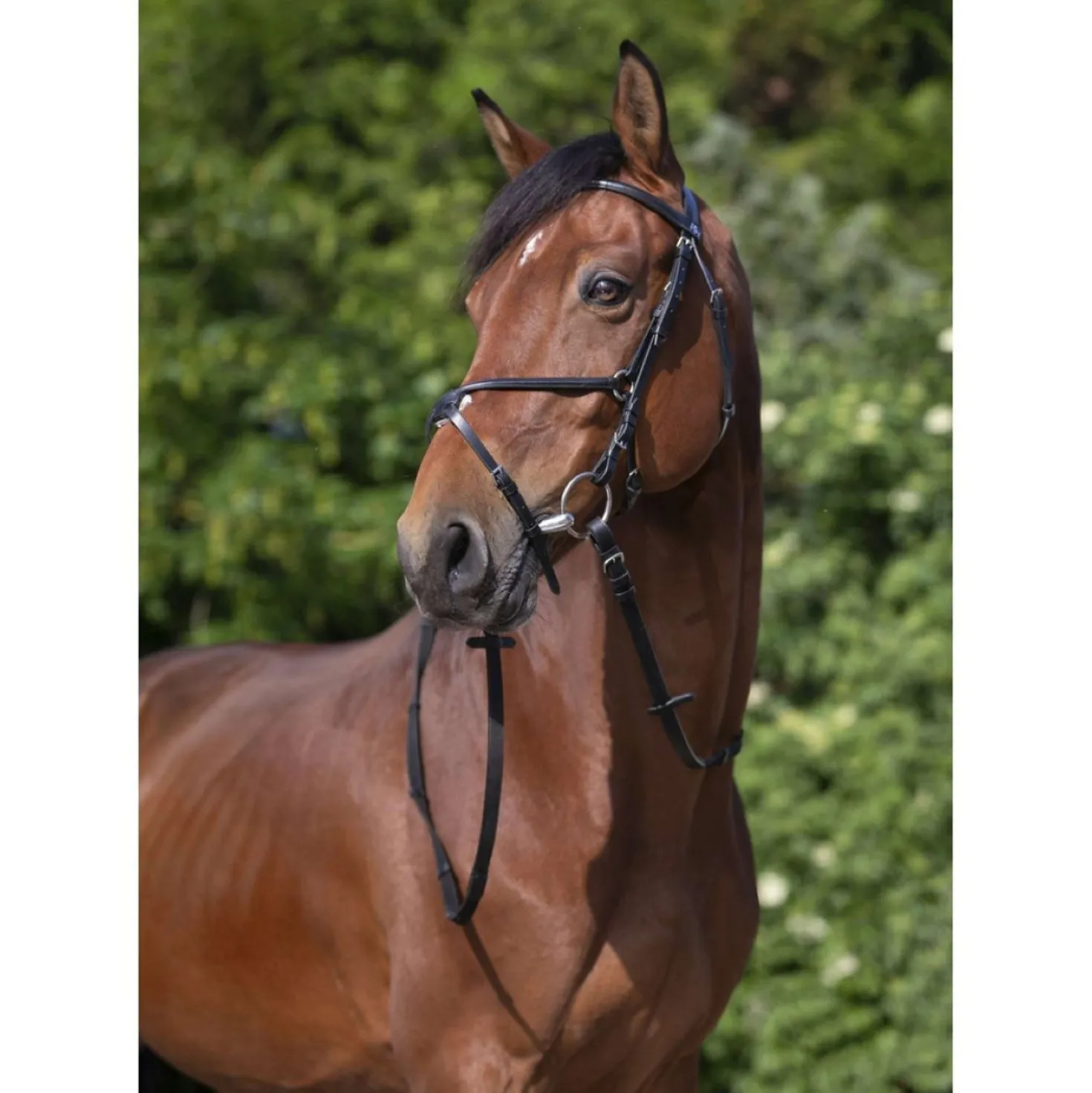 Riding World Hoofdstel met Mexicaanse Neusriem Zwart