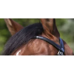 Riding World Hoofdstel met Mexicaanse Neusriem Zwart