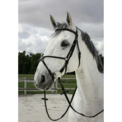 Riding World Hoofdstel met Mexicaanse Neusriem Zwart