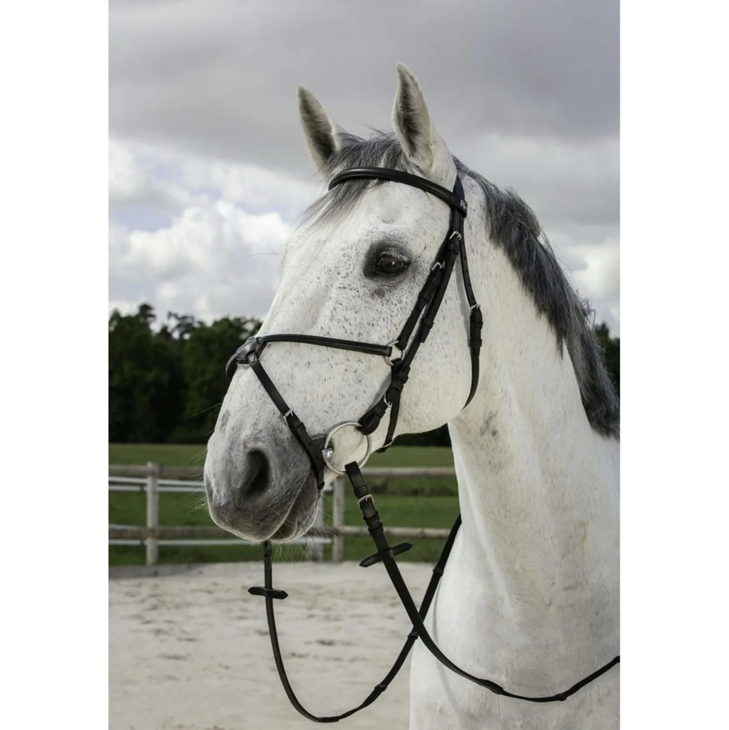 Riding World Hoofdstel met Mexicaanse Neusriem Zwart