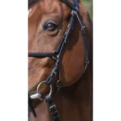 Riding World Hoofdstel met Mexicaanse Neusriem Zwart