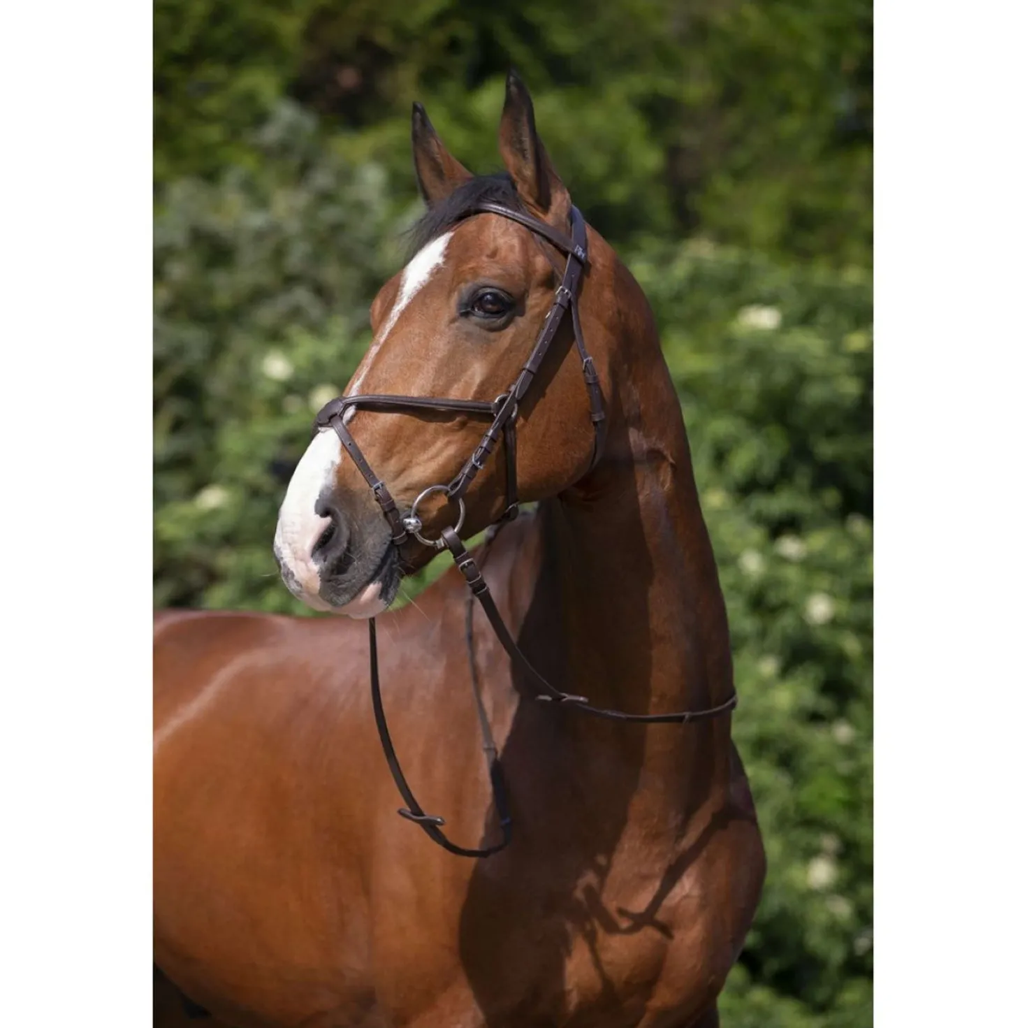 Riding World Hoofdstel met Mexicaanse Neusriem Havana