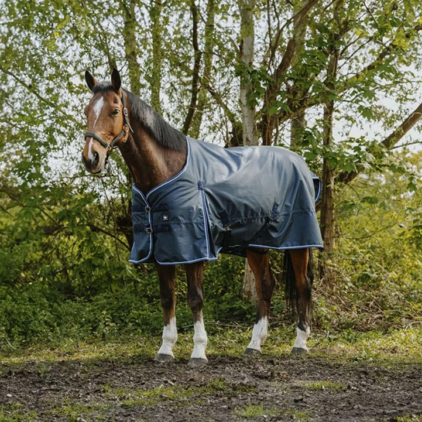 Riding World Outdoordeken Eco 1200D 220g Navy