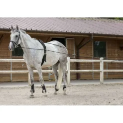 Riding World Teugels Leer/Touw Havana