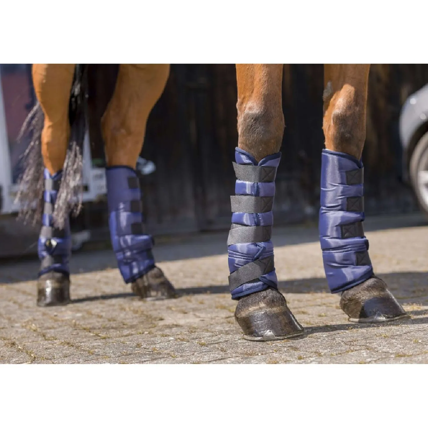 Riding World Transportbeschermers Laag Zwart
