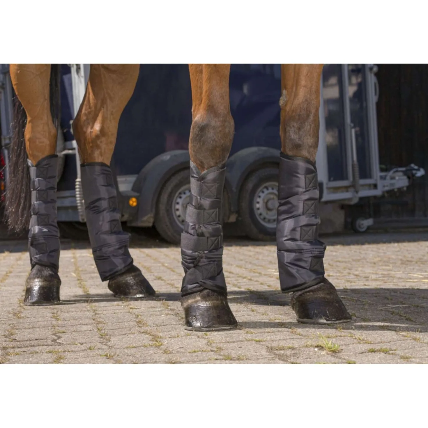 Riding World Transportbeschermers Laag Zwart