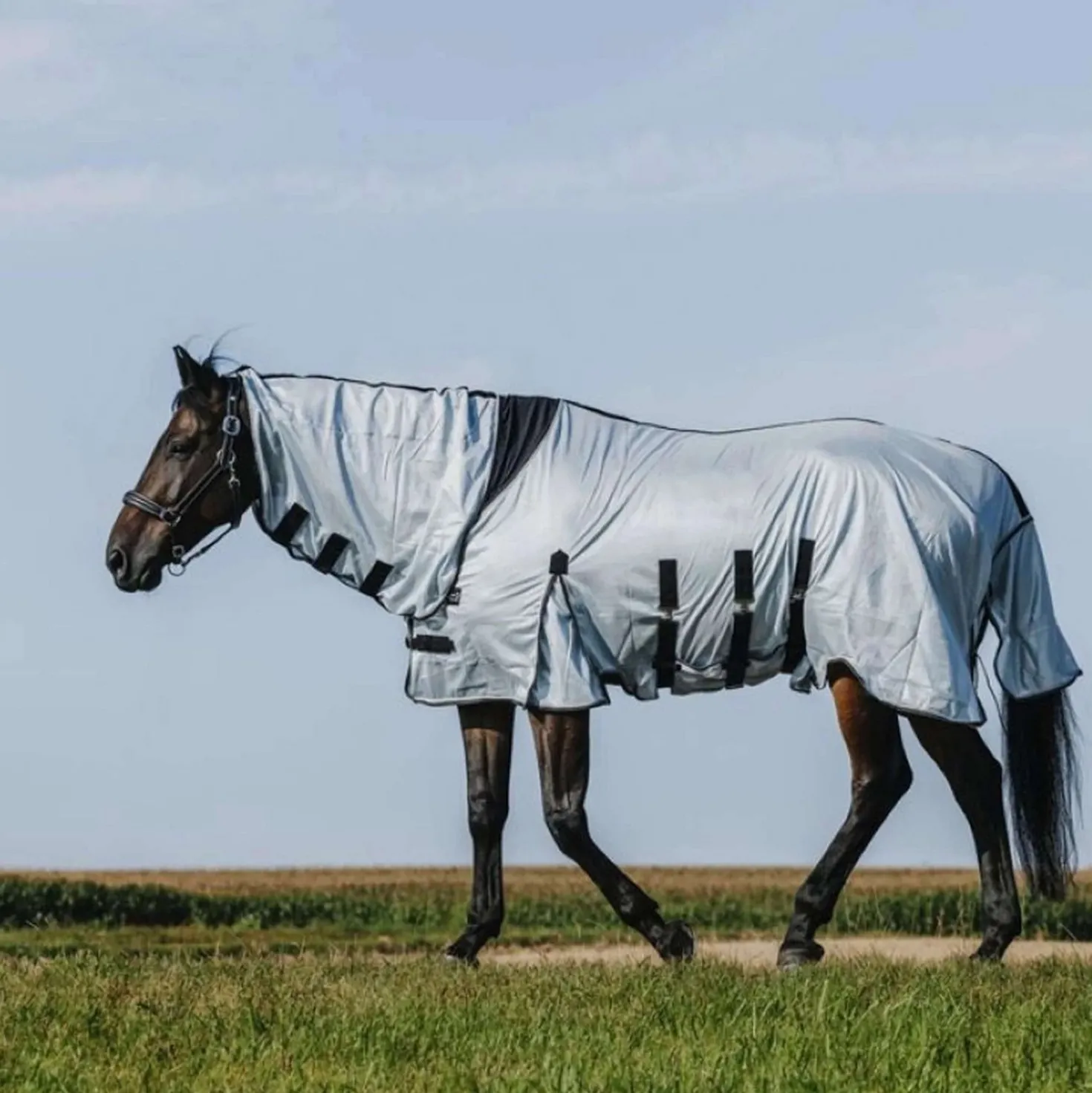 Riding World Vliegendeken Belly Mesh Combo Grijs