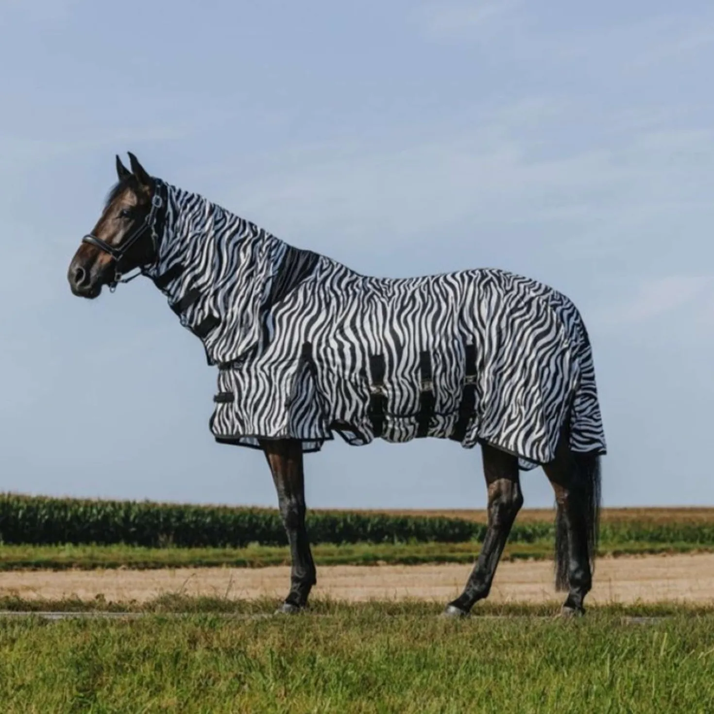 Riding World Vliegendeken Belly Mesh Combo Zebra