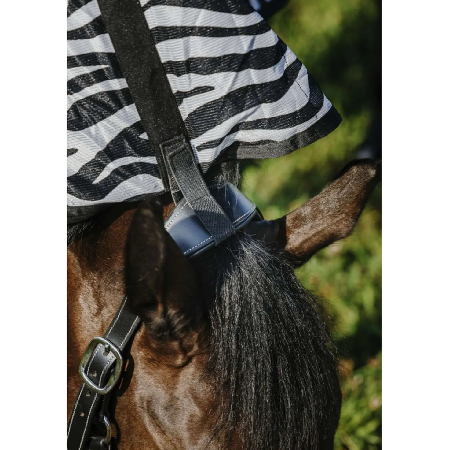 Riding World Vliegendeken Belly Mesh Combo Zebra