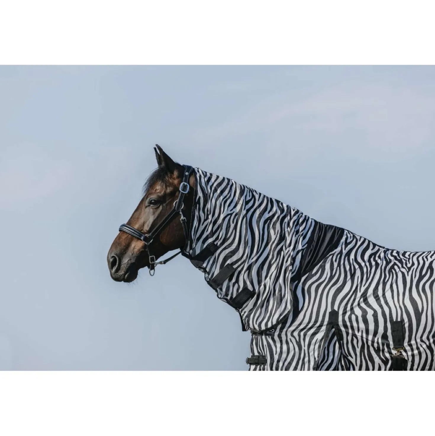 Riding World Vliegendeken Belly Mesh Combo Zebra