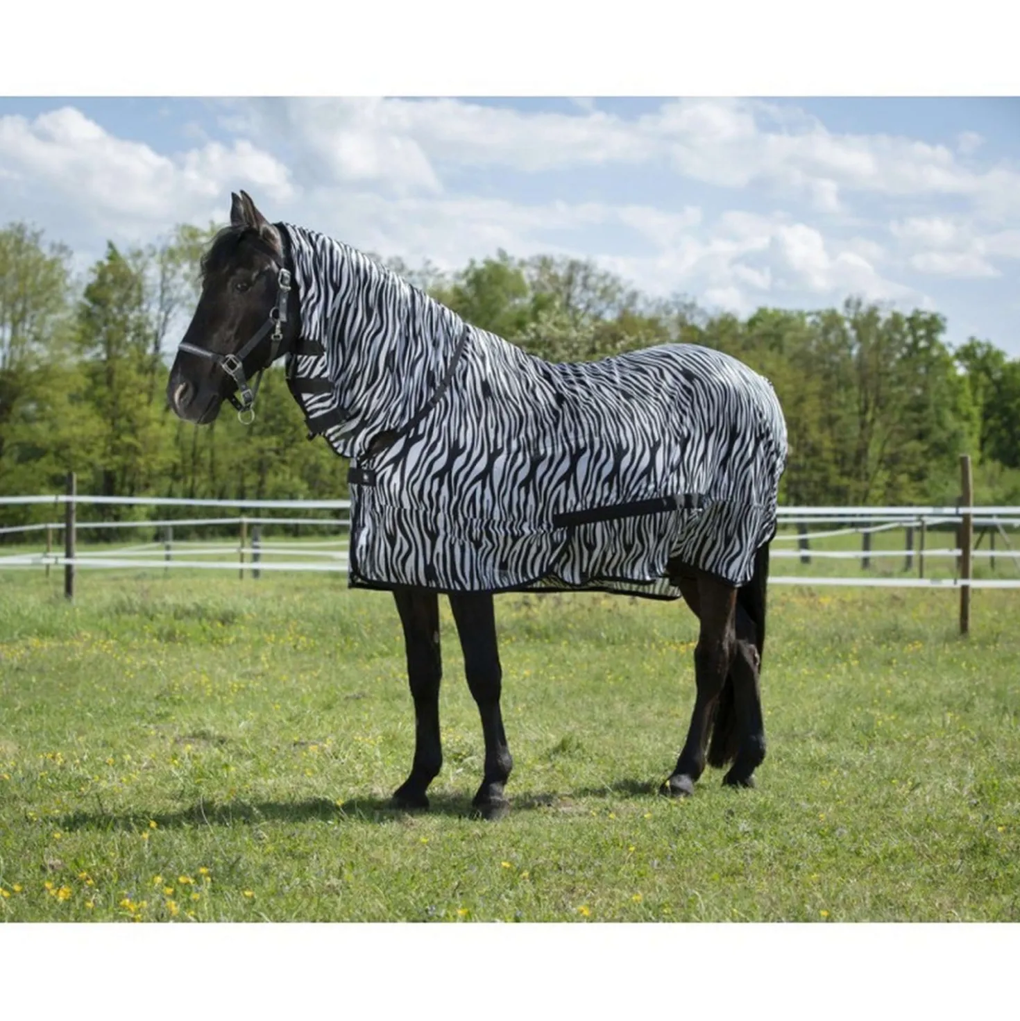 Riding World Vliegendeken Combo Zebra
