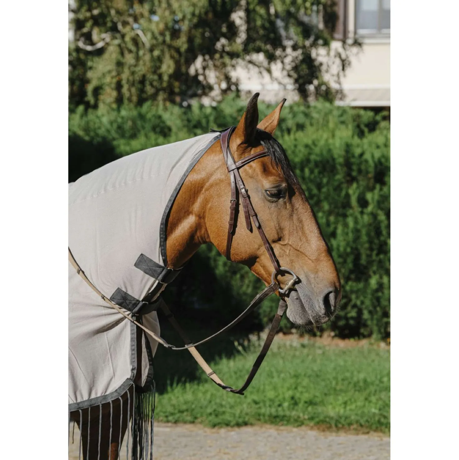 Riding World Vliegenuitrijdeken Mesh Grijs