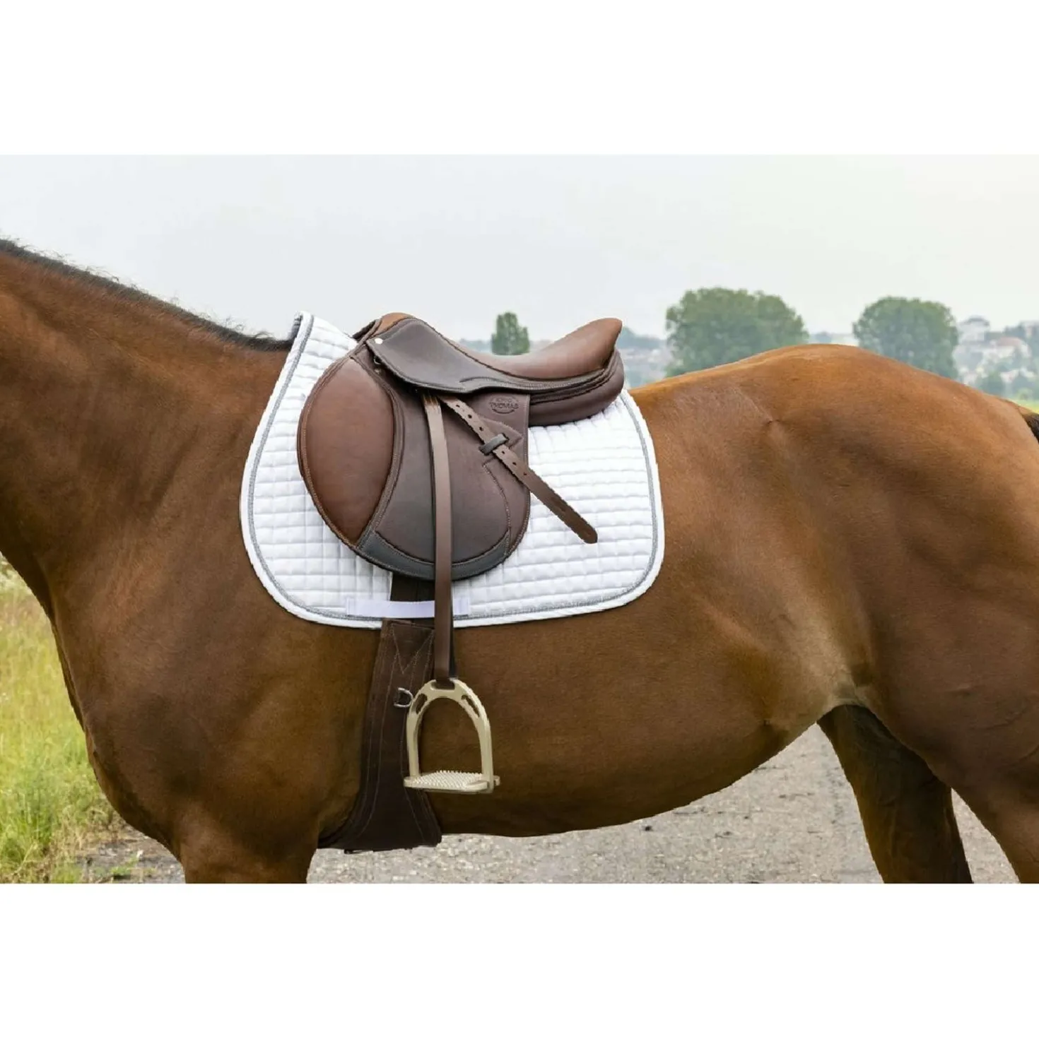 Riding World Zadeldekje Girly Wit