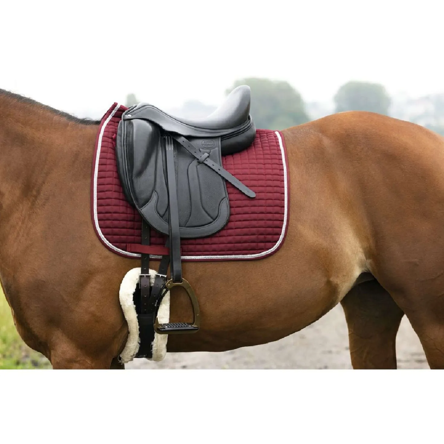 Riding World Zadeldekje Girly Dressuur Bordeaux