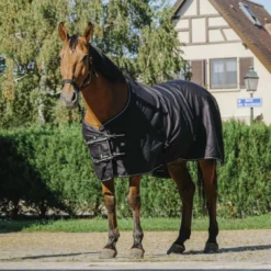 Riding World Zomerdeken Brillante Zwart