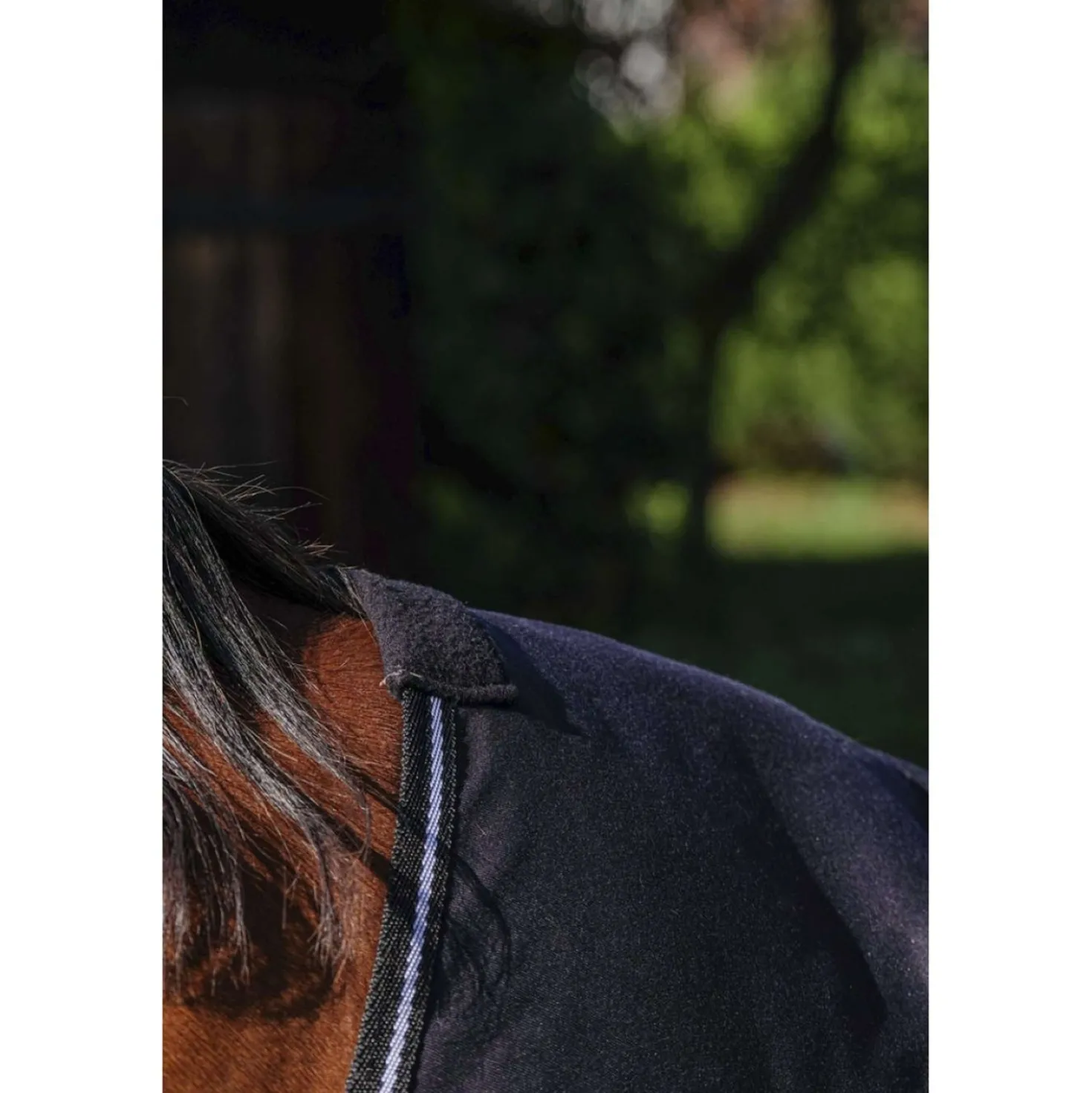Riding World Zomerdeken Brillante Zwart