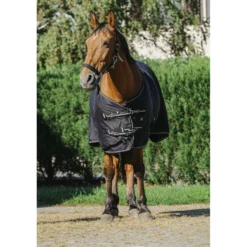 Riding World Zomerdeken Brillante Zwart