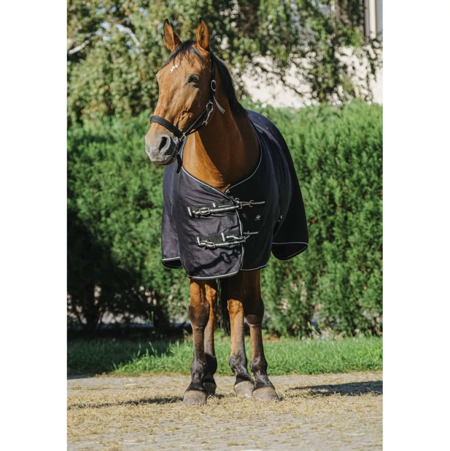 Riding World Zomerdeken Brillante Zwart