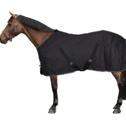 Riding World Zomerdeken Brillante Zwart