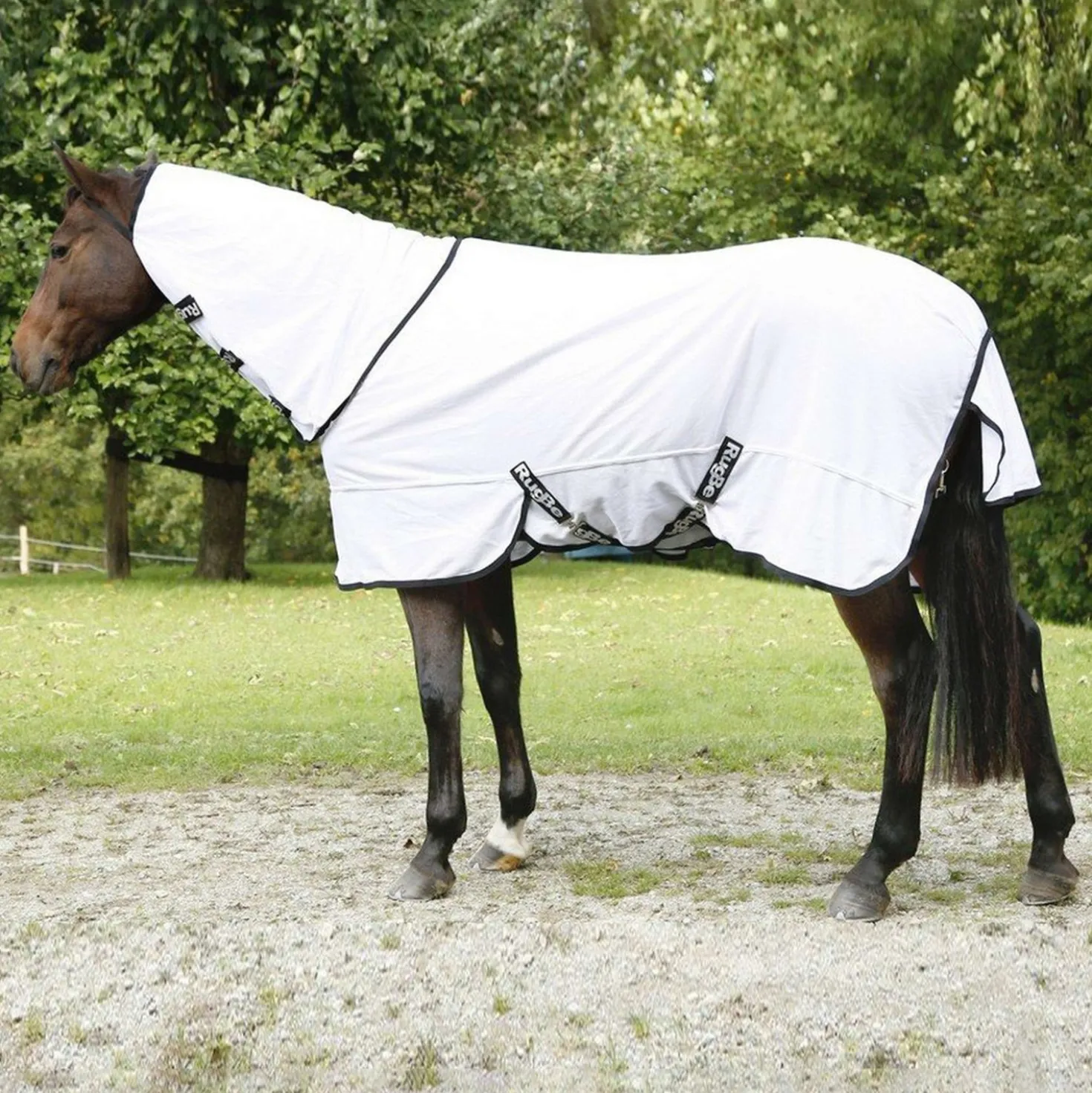 RugBe by Covalliero Vliegendeken SuperFly met Halsstuk