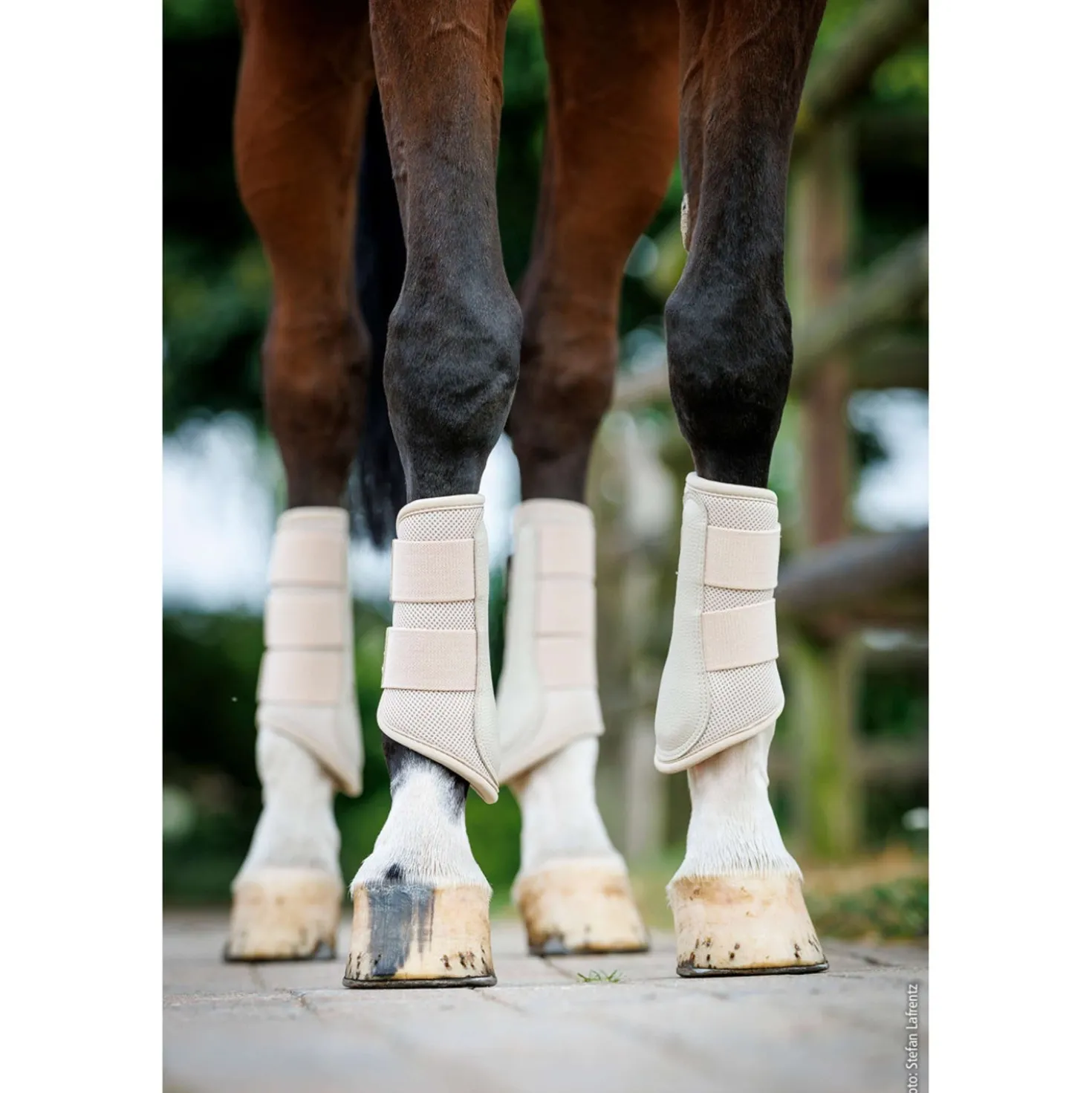 Schockemöhle Dressage Boots SP Mesh Guards Style Stone