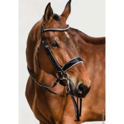 Schockemöhle Stang en Trens Hoofdstel Classic Line Venice Zwart/Patent/Wit/Zilver