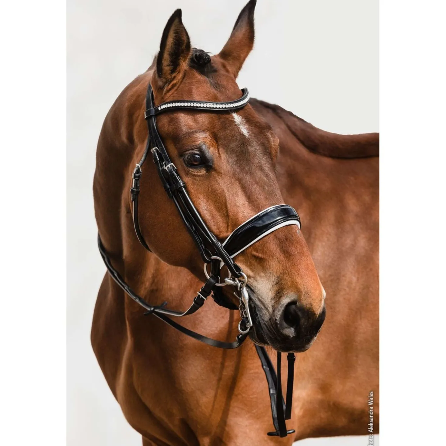Schockemöhle Stang en Trens Hoofdstel Classic Line Venice Zwart/Patent/Wit/Zilver