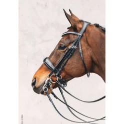 Schockemöhle Stang en Trens Hoofdstel Classic Line Venice Zwart/Patent/Wit/Zilver