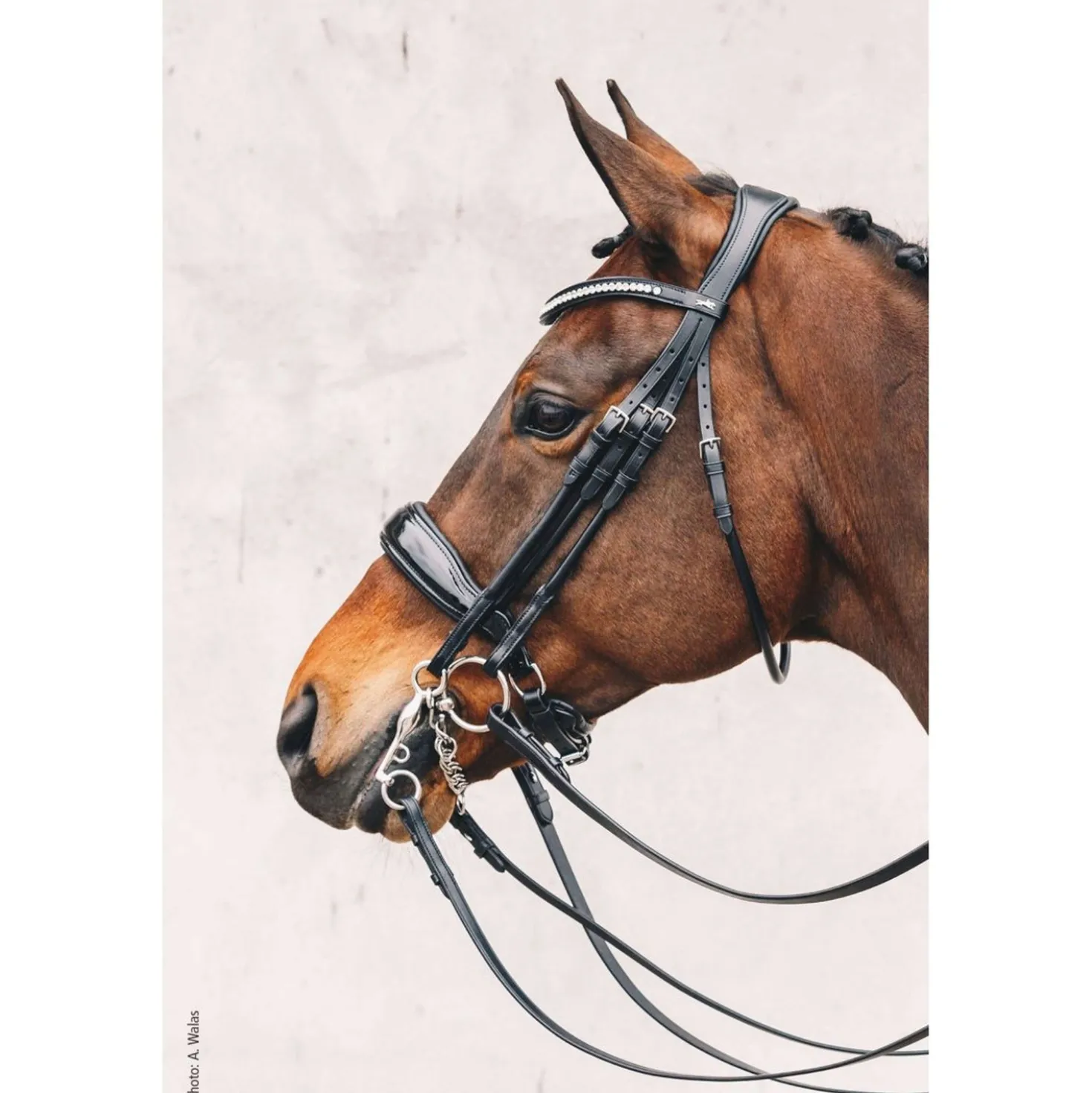 Schockemöhle Stang en Trens Hoofdstel Classic Line Venice Zwart/Patent/Wit/Zilver