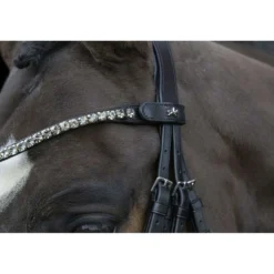 Schockemöhle Stang en Trenshoofdstel Milazzo Zwart/Zilver