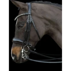 Schockemöhle Stang en Trenshoofdstel Milazzo Zwart/Zilver