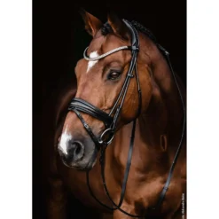 Schockemöhle Trenshoofdstel SP Isabell Werth Satchmo Zwart/Zilver