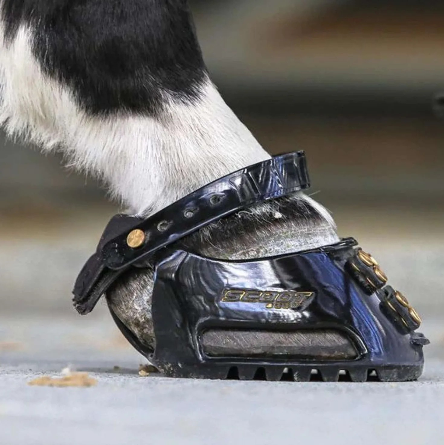 Scoot Boot Hoefschoen Slim Single Pony Zwart