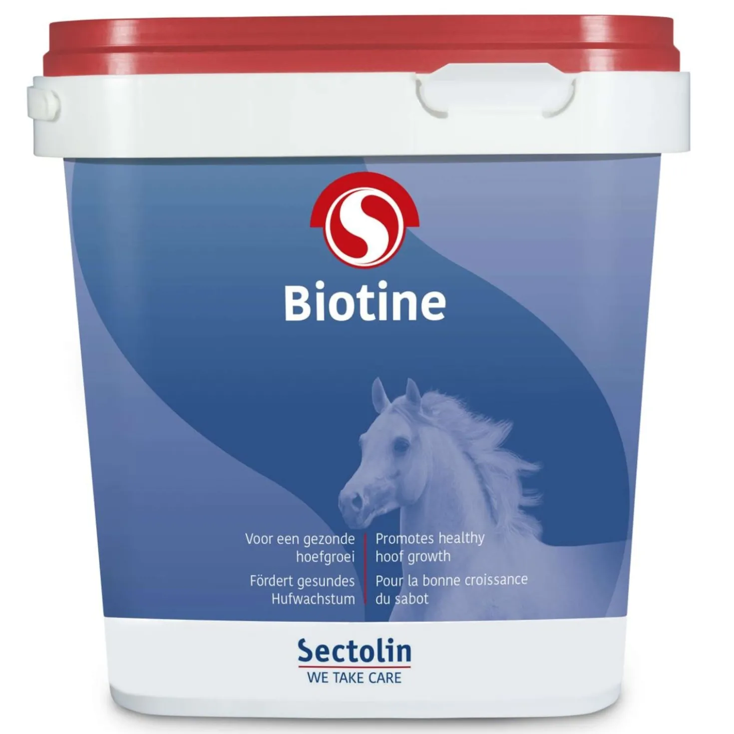 Sectolin Biotine
