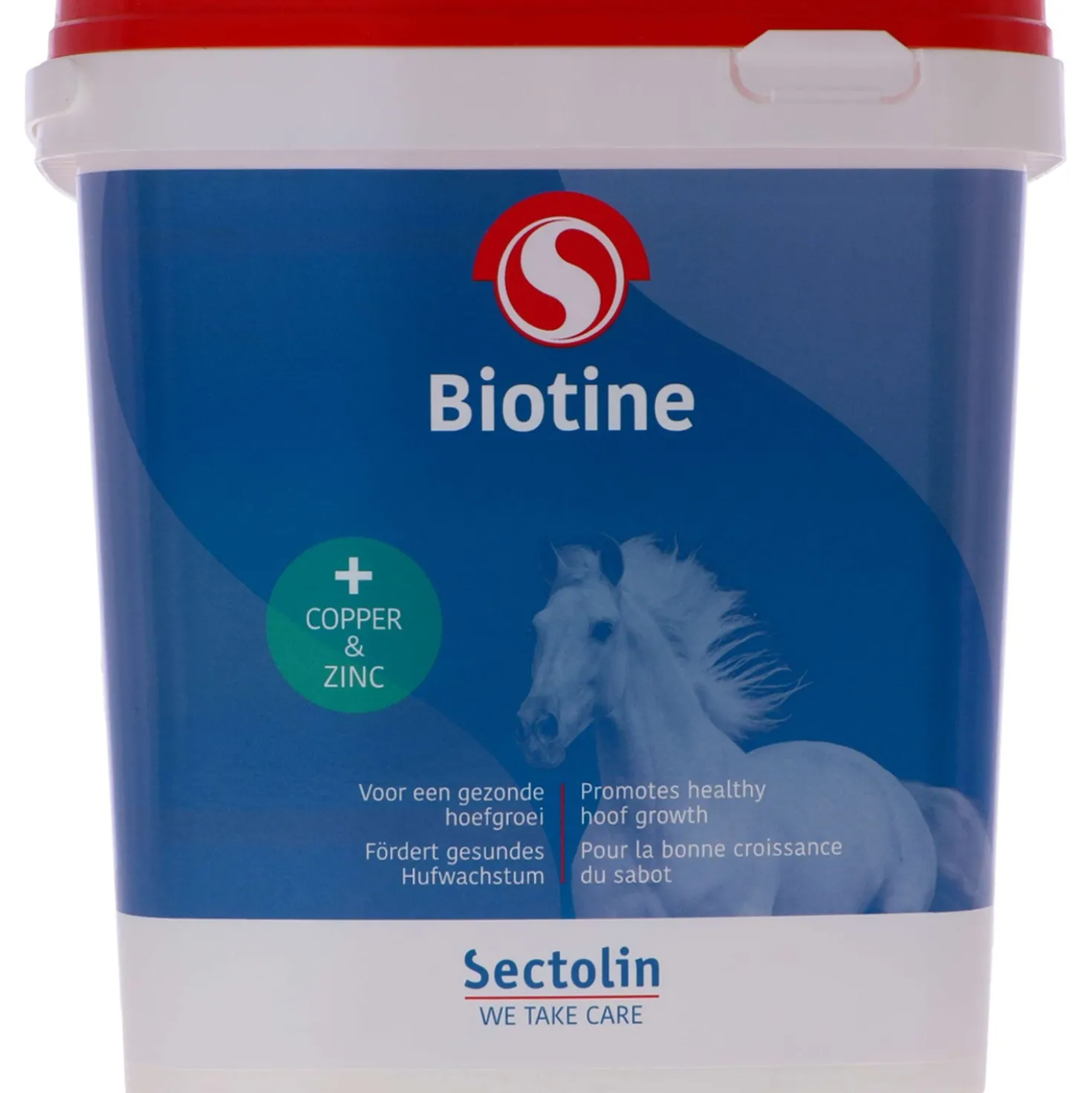 Sectolin Biotine