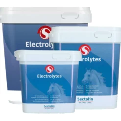 Sectolin Electrolyten
