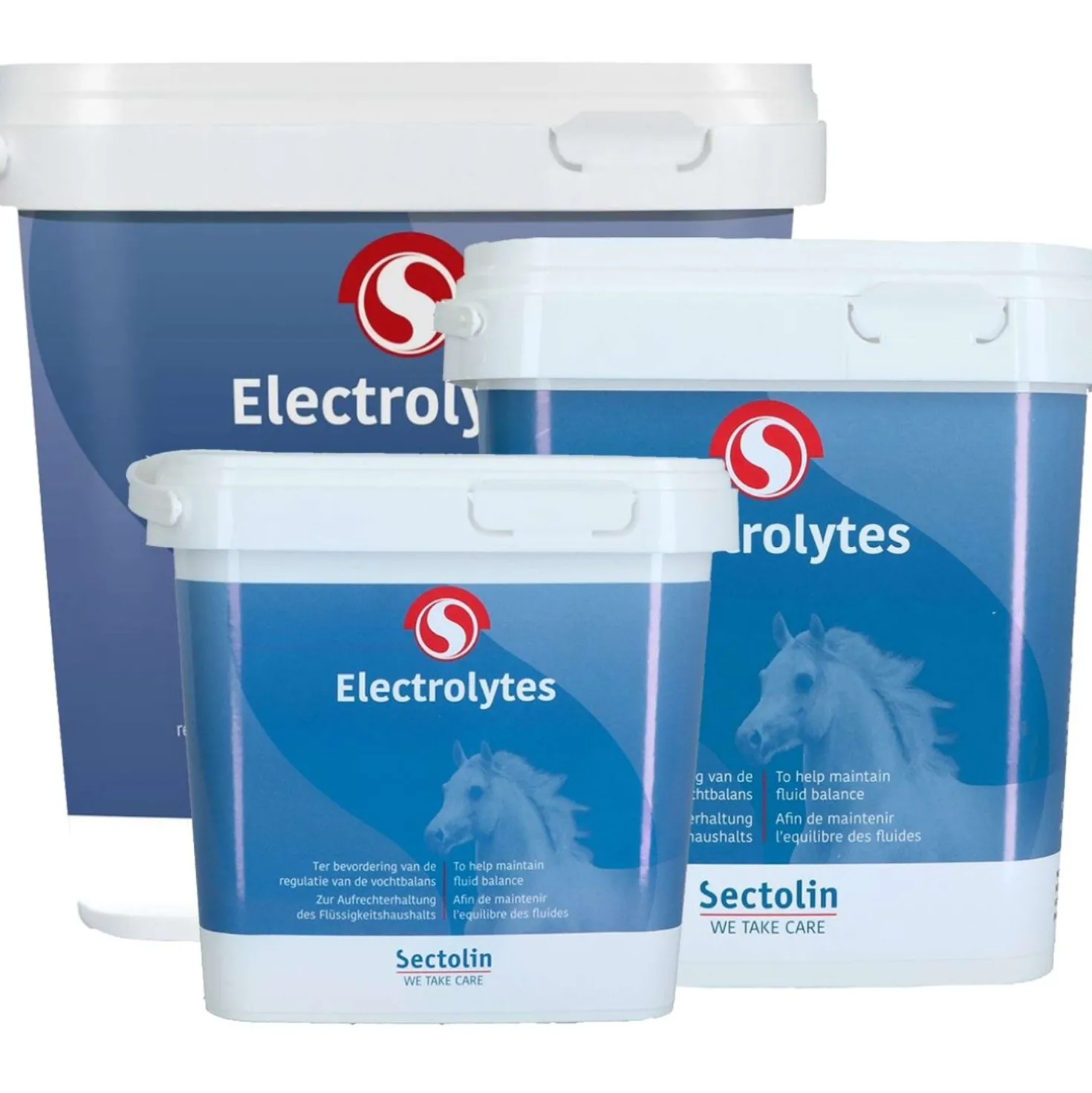 Sectolin Electrolyten