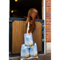 Sectolin EveryDay Balancer 12,5kg