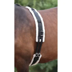 Shires Longeersingel Nylon met Fleece Voering Zwart