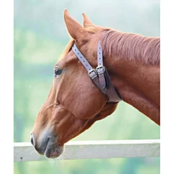 Shires Luchtzuigband Australian nut